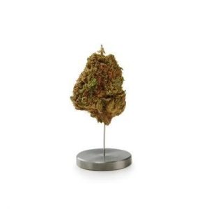 cannabis-potency-tester-plant-min