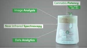 THC-potency -test- kit- South- Africa-Kit-min