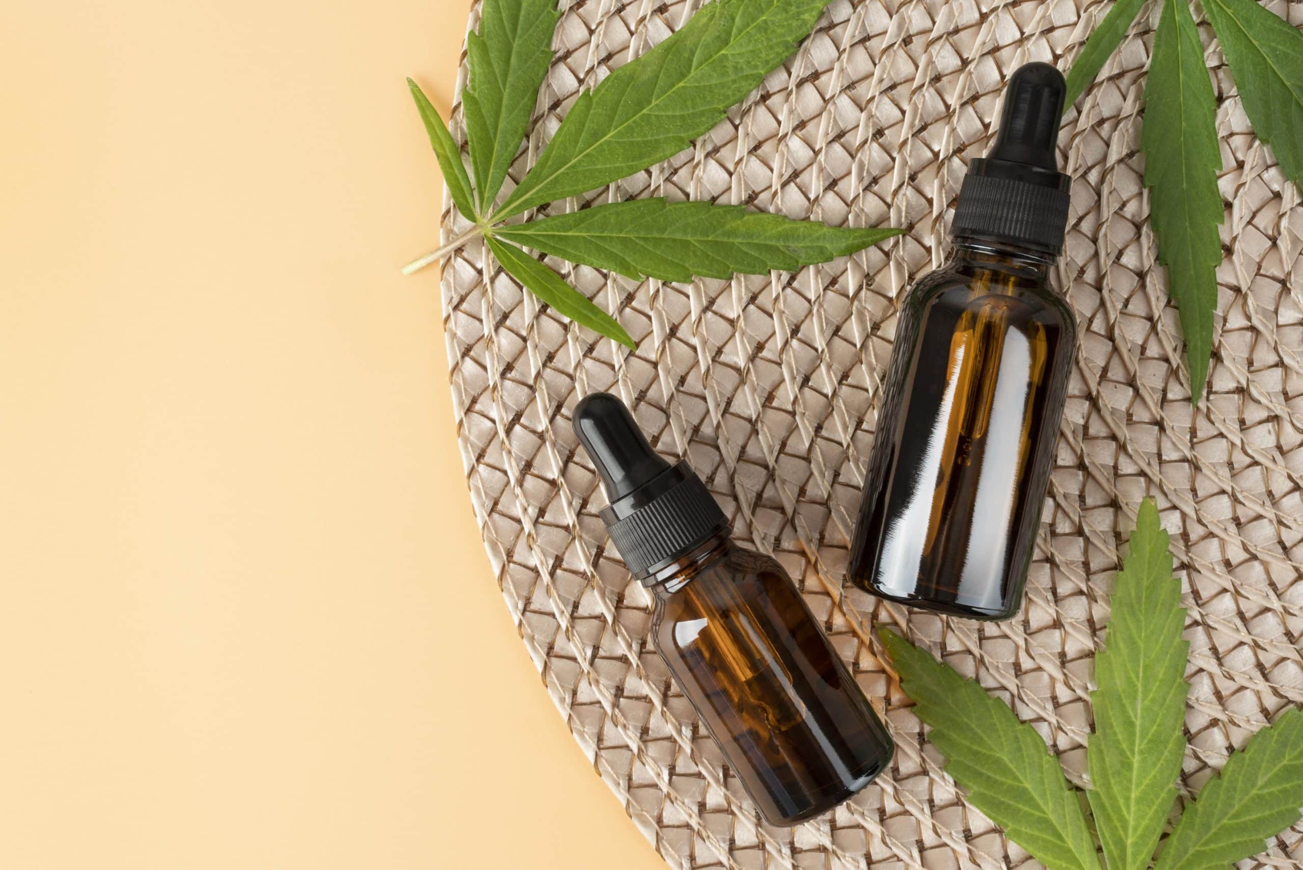 You are currently viewing Cannabis oil – how to extract it?