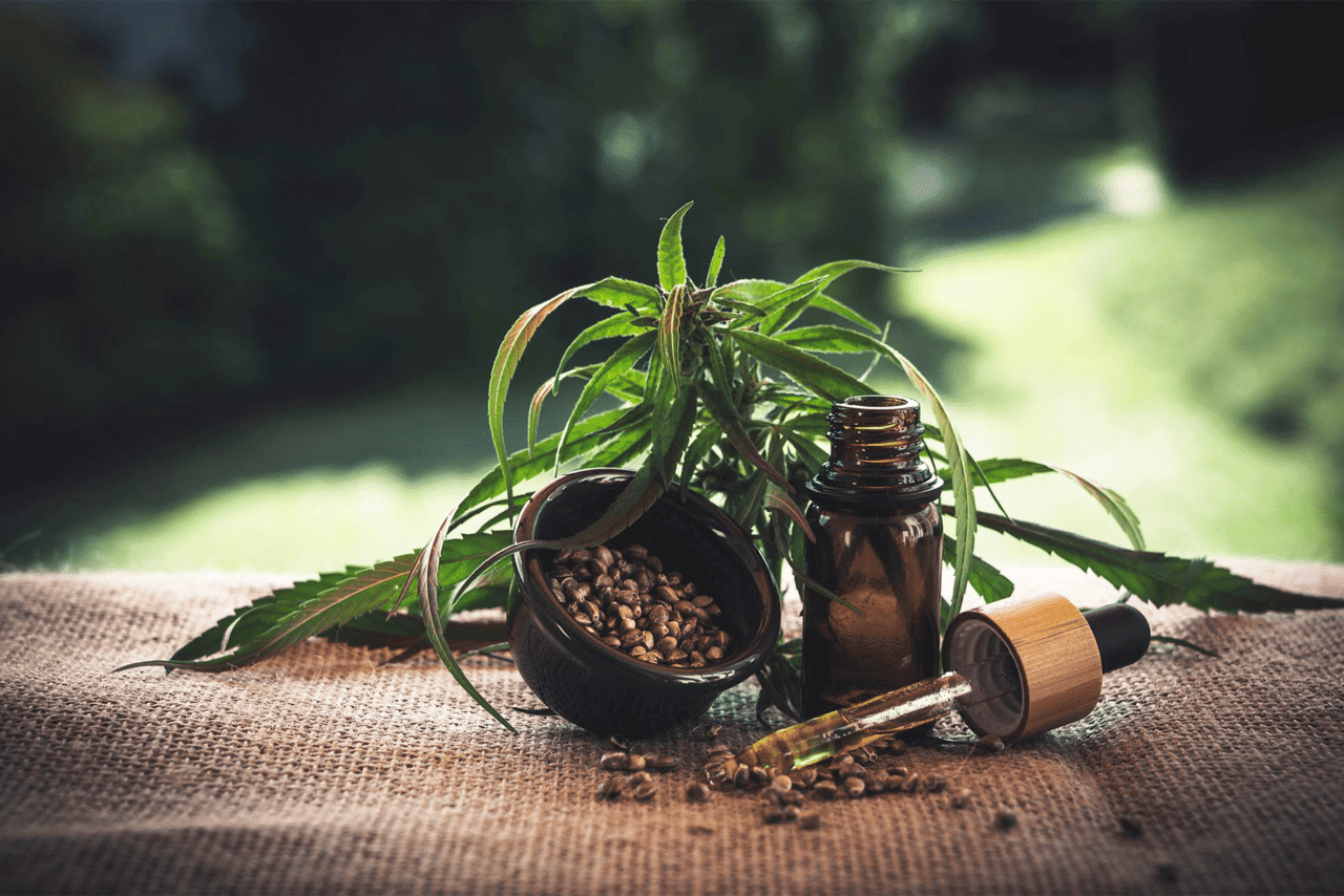 You are currently viewing CBD vs THC: The Differences, Benefits and Effects