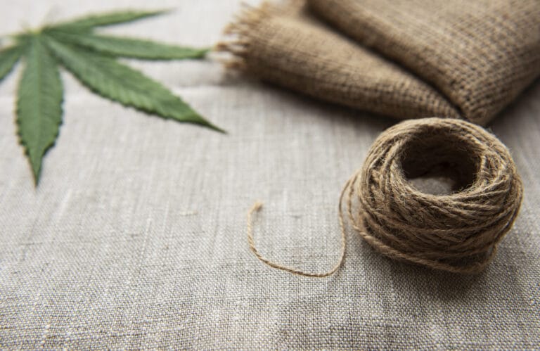 Read more about the article Industrial Hemp: Pioneering Sustainability Across Industries