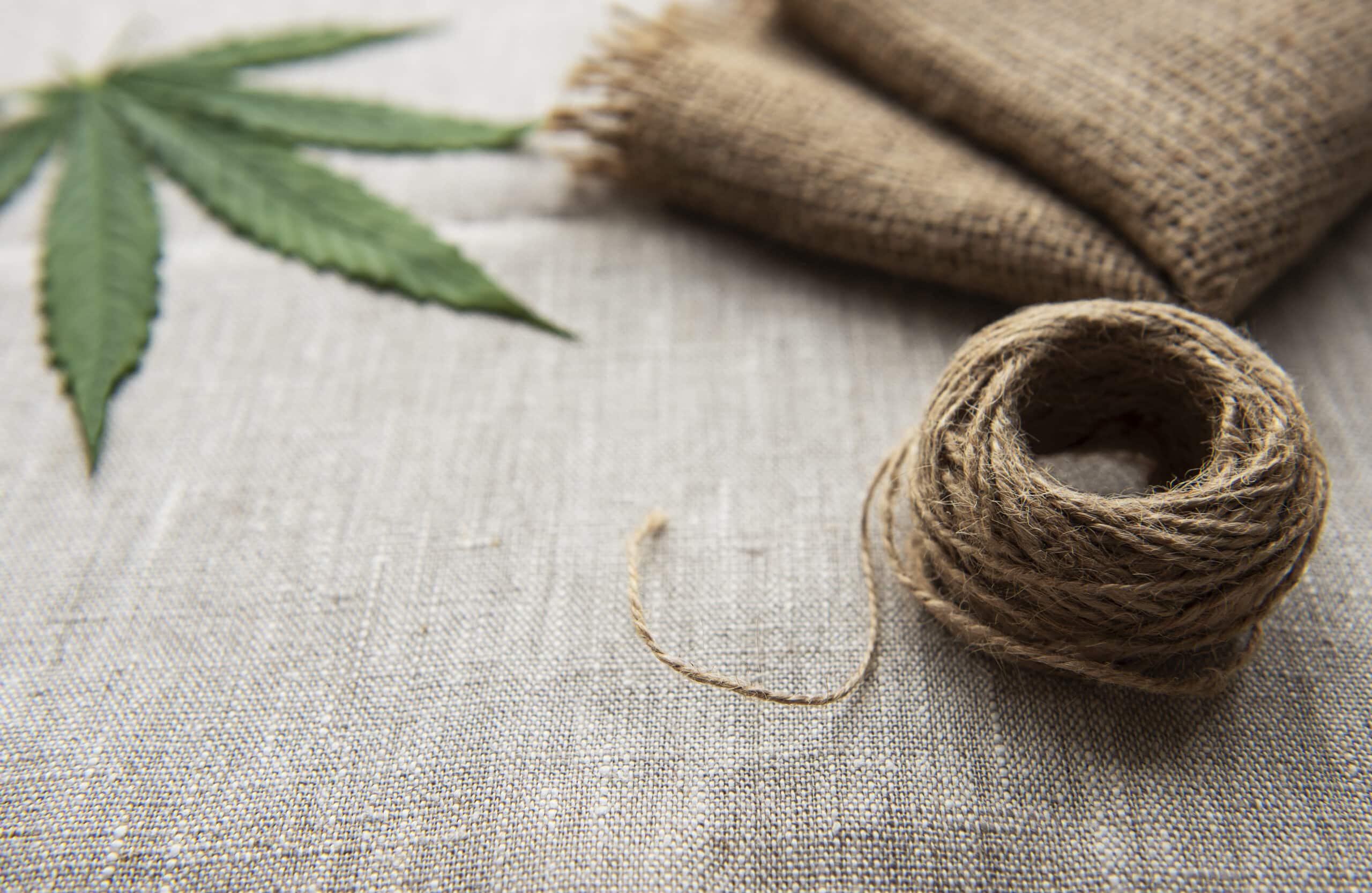 You are currently viewing Industrial Hemp: Pioneering Sustainability Across Industries