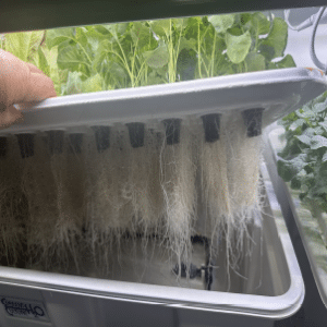 High Pressure Aeroponic Propagation – Seed Starting & Stem Cuttings